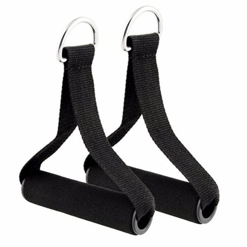 Exercise handles gym - exercise,